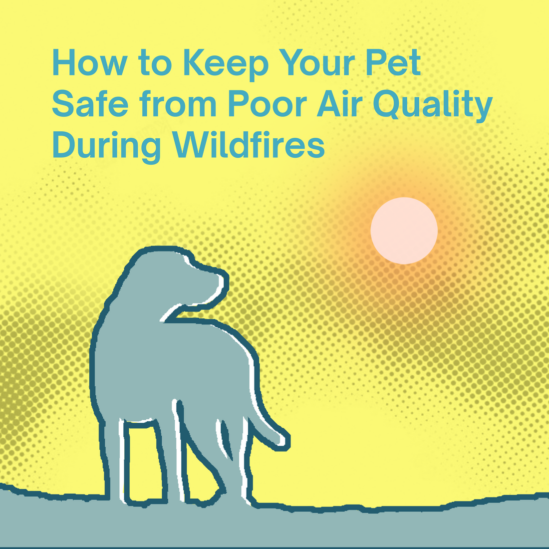 How to Keep Your Pet Safe from Poor Air Quality During Wildfires