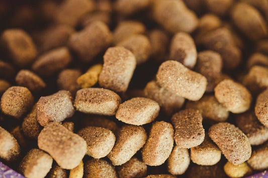 The Hidden Dangers of Preservatives in Pet Food