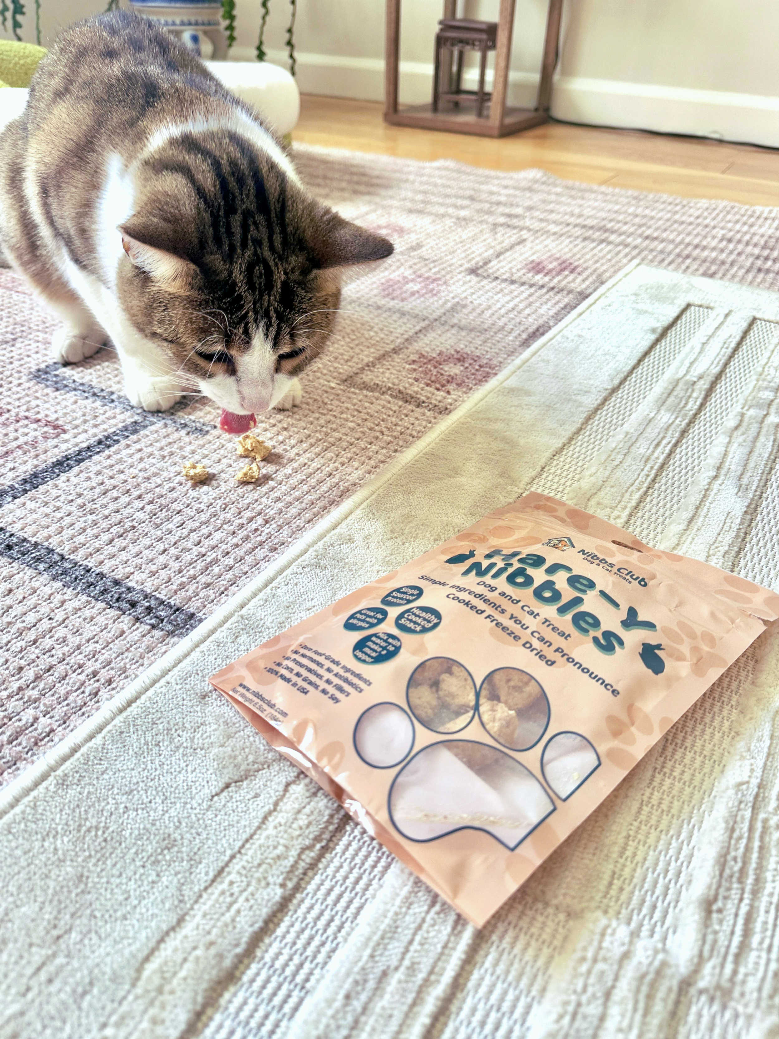 Nibbles cat treats best sale